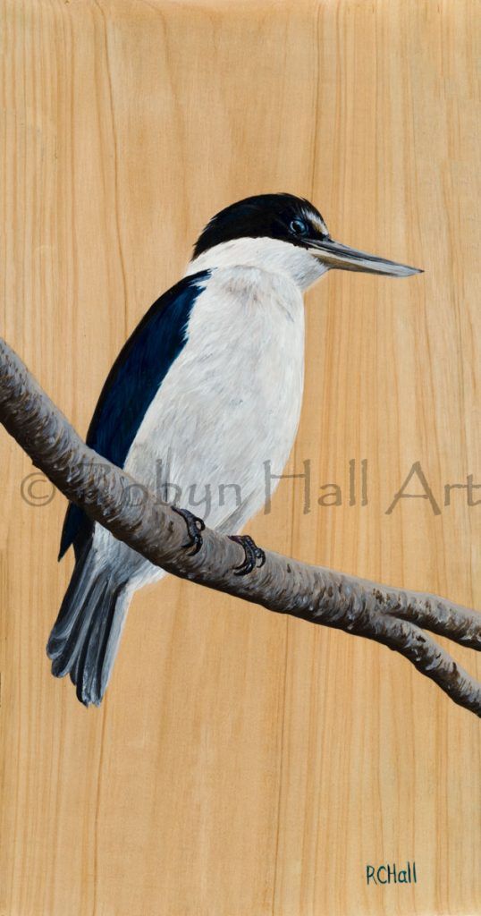 Motukaraka Kingfisher - Acrylic Painting on Motukaraka